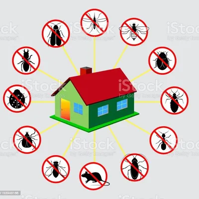 L&W Organic Pest Control