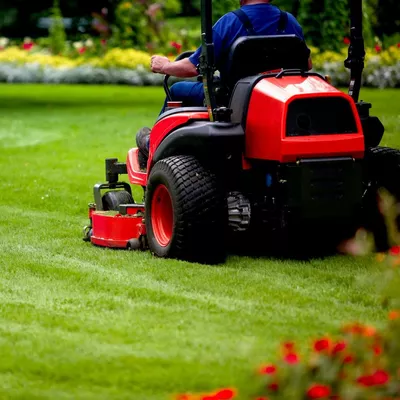 Affordable Landscaping