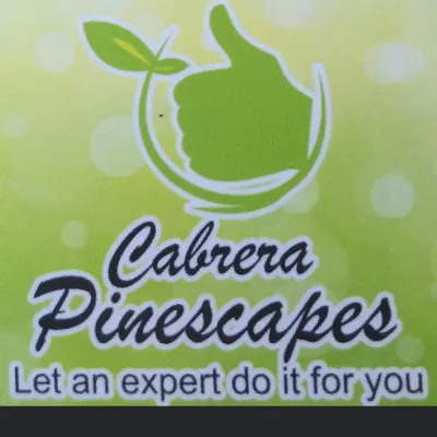 Cabrera Pinescapes  LLC