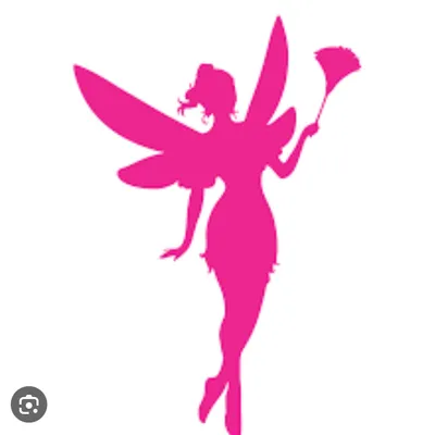 Cleaning fairies