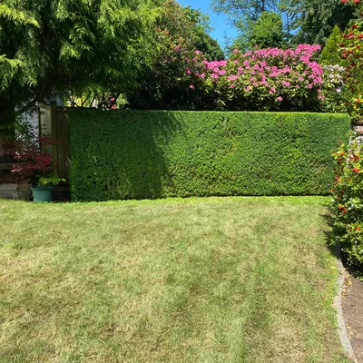 Velasquez Lanscaping