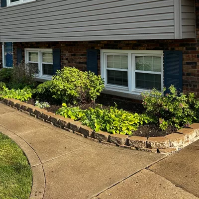 Medrano’s Yard Scape Services