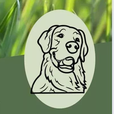 Retriever Concrete & Landscape