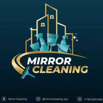 Cleaning mirror