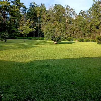 Holland Lawncare