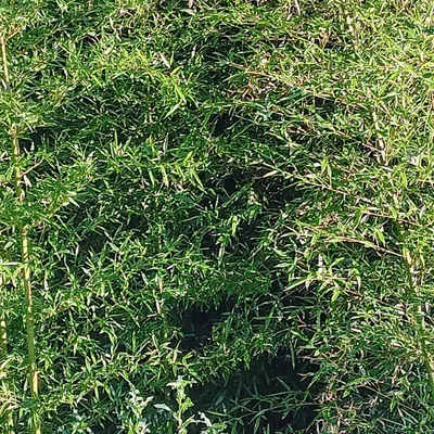 Lawn And Order Landscaping