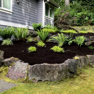 SonShine Lawn Services