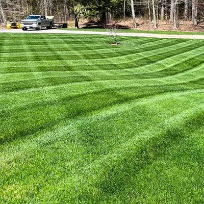 East Coast lawn care & services