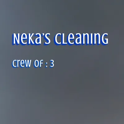 Nekas clean pro