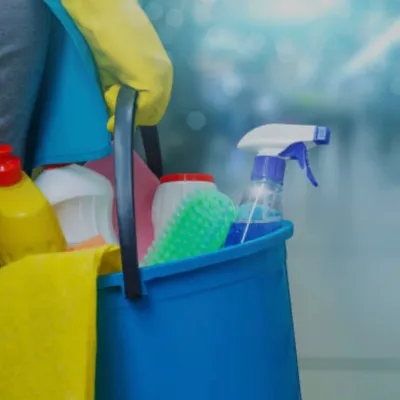 Lisy Cleaning Services