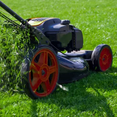 Margie Lawn Service