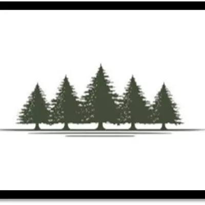 Carrera Northwest Contracting LLC