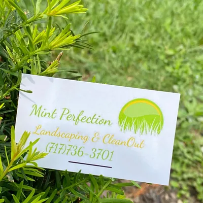 Mint Perfection Landscaping & Cleanup