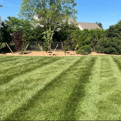 Shades of Green Landscaping