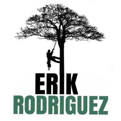 Erik Rodriguez Tree and Lawn