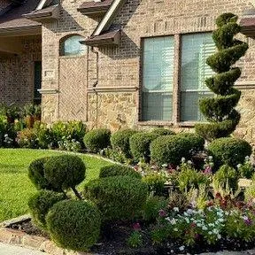 Epic Lawn Care of DFW