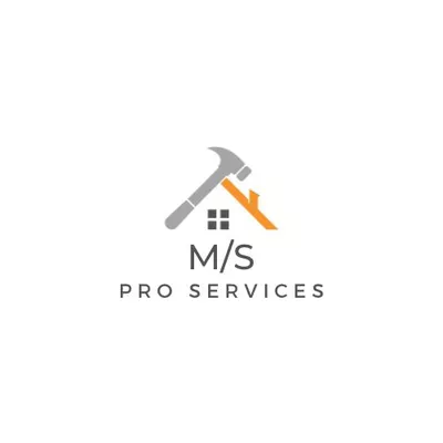 M/s pro services
