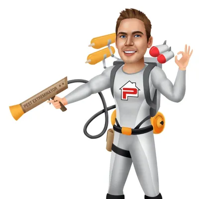 Palmer Pest Management