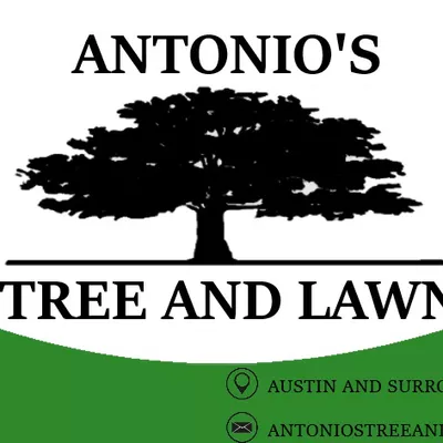 Antonio's Tree and Lawn
