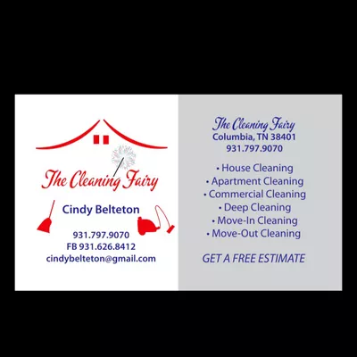 the cleaning fairy