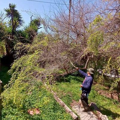 Nelson’s Landscaping