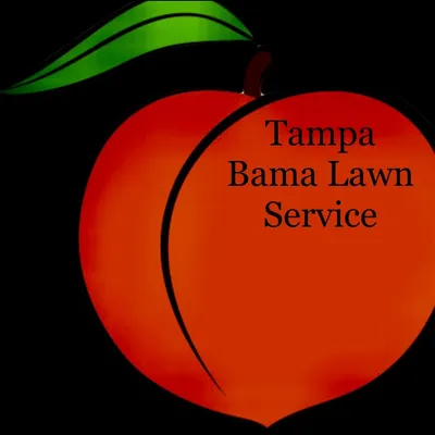 Tampa Bama Lawn Service
