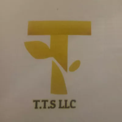 T.T.S.LLC