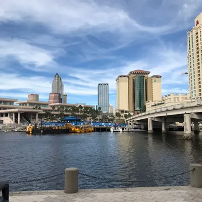 Tampa Property Care LLC