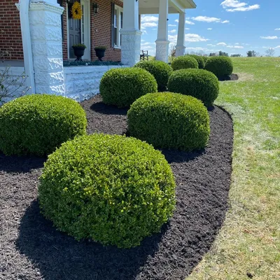 Two Seedlings Lawn Services, LLC