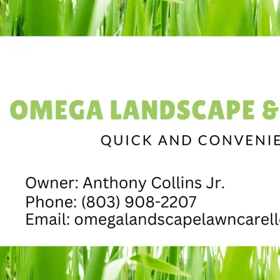 Omega Green Square