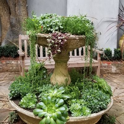 Donlan Landscape Contractors