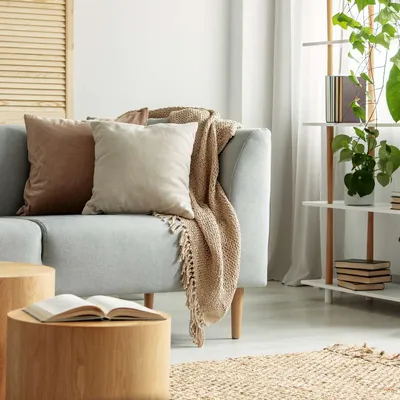 Posh Palette Interiors