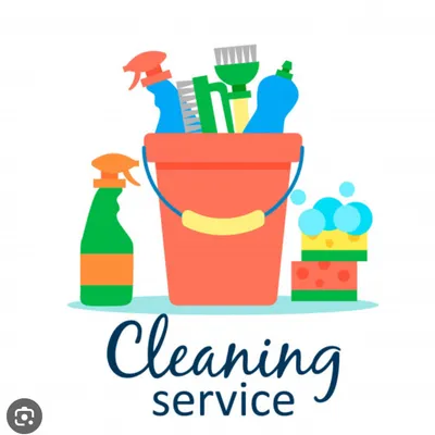 Cleanaholicprosllc