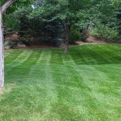 Silcast Landscaping LLC