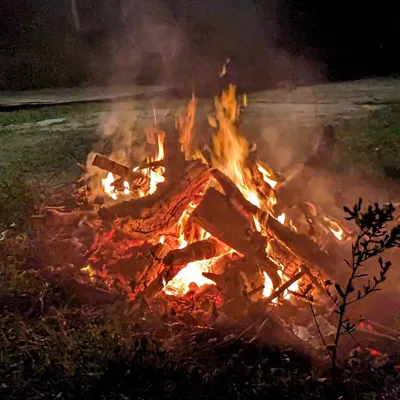 Wolf River Repair