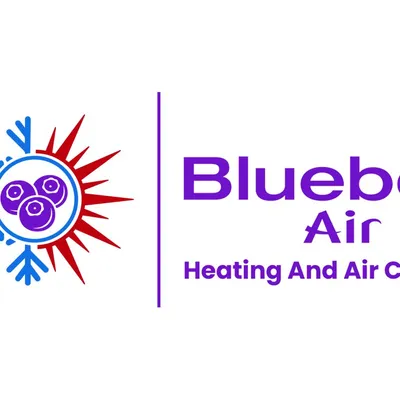 Blueberry Air