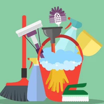 Pro Cleaning