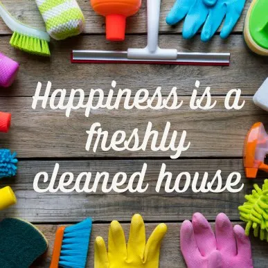 Fernanda”s cleaning pro