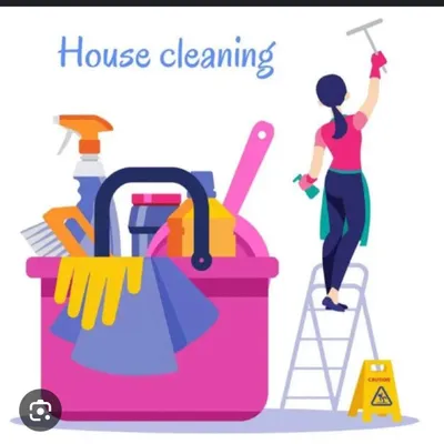 Sara cleaning service ?