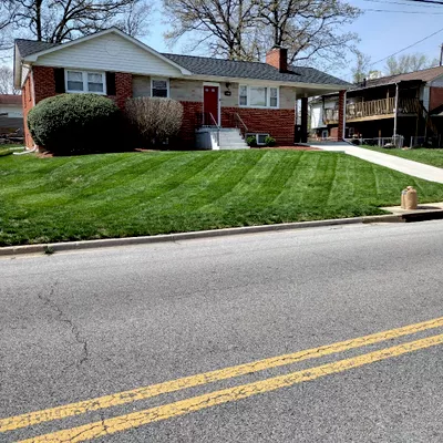 Torres landscaping