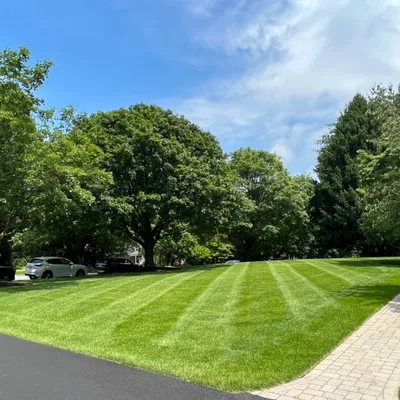 Merlin Landscaping