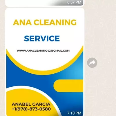 anna cleaning