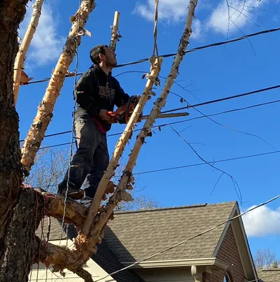 Smith and sons fix it all