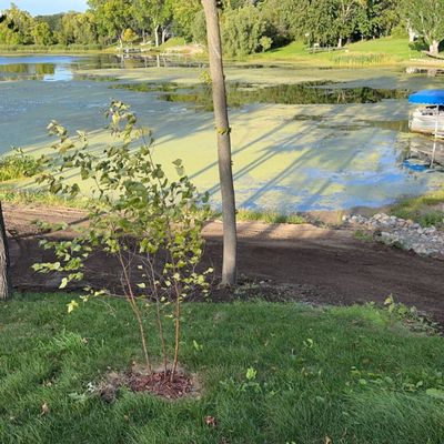 Gladstone landscaping