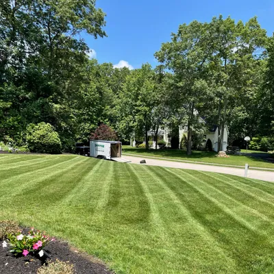 Donovan lawn care