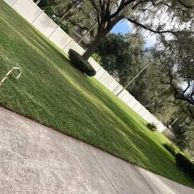 pro mows lawn service