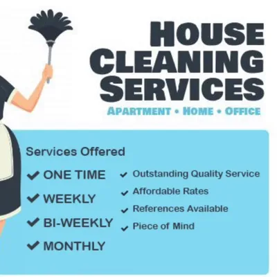 Shines cleaning services