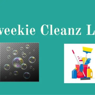 Skweekie Cleanz