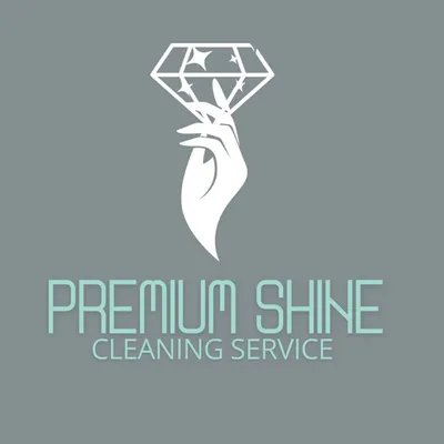 Premium shine cleaning service