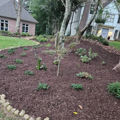 Francisco Landscaping